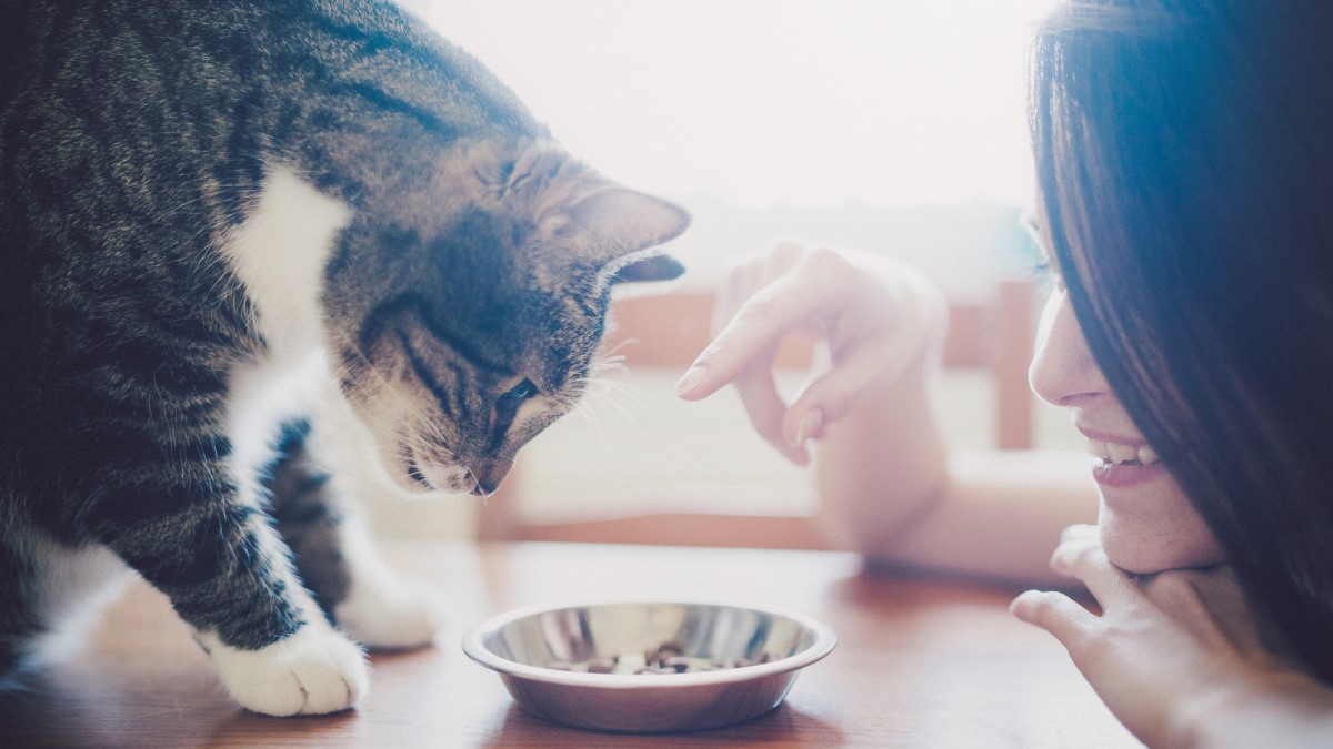 Ex-Qantas engineer pivots algae from jets to pet food