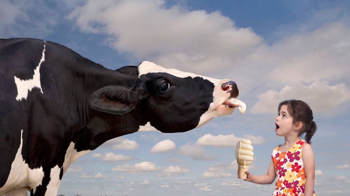 Morning Feed: What’s cooking on the ASX?